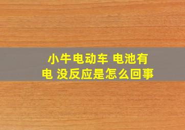 小牛电动车 电池有电 没反应是怎么回事